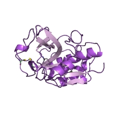 <span class="mw-page-title-main">Chymopapain</span> Enzyme