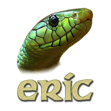 eric (software) Python development environment