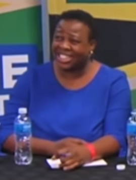 <span class="mw-page-title-main">Refiloe Nt'sekhe</span> South African politician