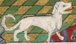 <span class="mw-page-title-main">Talbot (dog breed)</span> Medieval dog breed