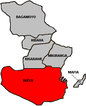 <span class="mw-page-title-main">Rufiji District, Pwani</span> District of Pwani Region, Tanzania