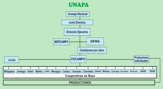 Estructura de la UNAPA