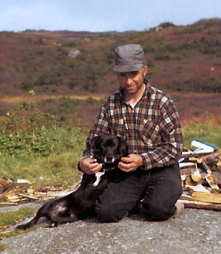 <span class="mw-page-title-main">St. John's water dog</span> Dog breed