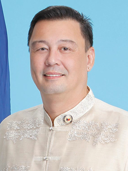 <span class="mw-page-title-main">Romeo Jalosjos Jr.</span> Filipino businessman and politician