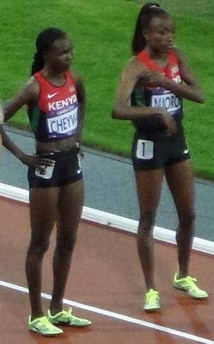 <span class="mw-page-title-main">Mercy Wanjiku</span> Kenyan long-distance runner