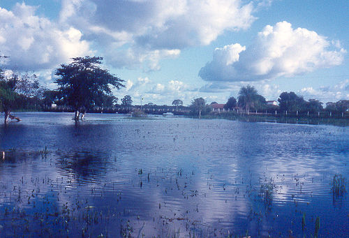 Pantanal in flood condition