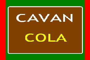 <span class="mw-page-title-main">Cavan Cola</span> Brand of soft drink