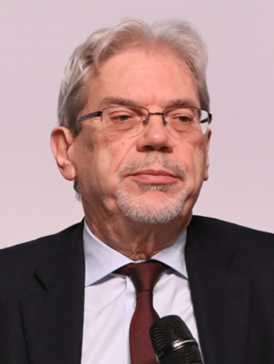 <span class="mw-page-title-main">Claudio De Vincenti</span> Italian politician