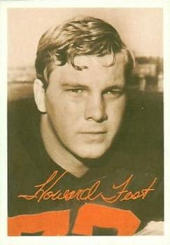 <span class="mw-page-title-main">Howard Fest</span> American football player (born 1946)