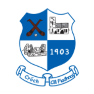 <span class="mw-page-title-main">Croagh-Kilfinny GAA</span> County Limerick based GAA club