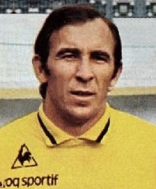 <span class="mw-page-title-main">Ivan Ćurković</span> Serbian sports executive and former footballer