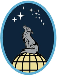 <span class="mw-page-title-main">13th Delta Operations Squadron</span> U.S. Space Force unit