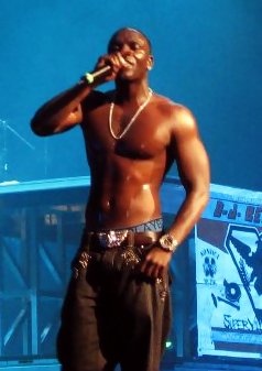 <span class="mw-page-title-main">Akon production discography</span>