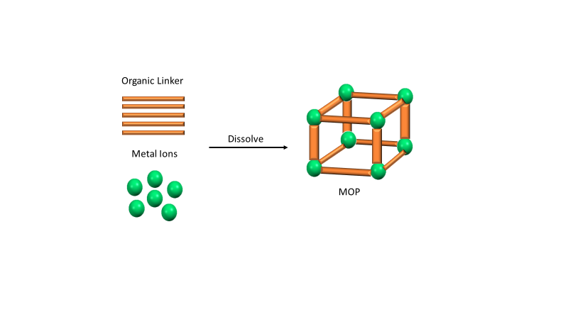 MOP synthesis