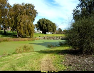 <span class="mw-page-title-main">Penshurst, Victoria</span> Town in Victoria, Australia