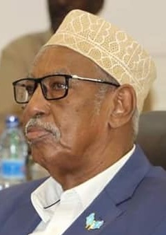 <span class="mw-page-title-main">Ahmed Duale Gelle</span>