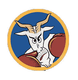 <span class="mw-page-title-main">51st Fighter Squadron</span> Military unit