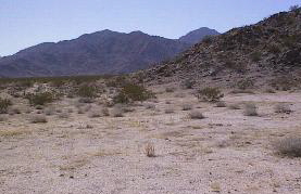 <span class="mw-page-title-main">Sheep Hole Mountains</span> Mountain range in California, United States