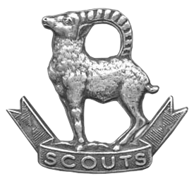 <span class="mw-page-title-main">Ladakh Scouts</span> Infantry regiment of the Indian Army