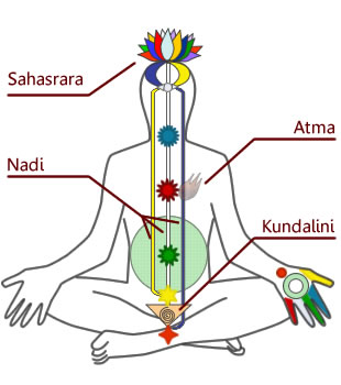 <span class="mw-page-title-main">Kundalini</span> Form of divine energy believed to be located at the base of the spine