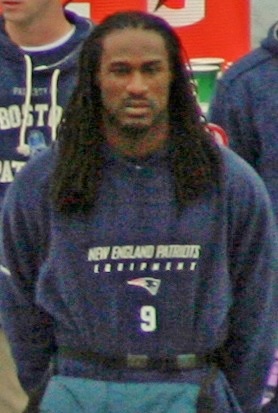 <span class="mw-page-title-main">Isaiah Stanback</span> American football player (born 1984)