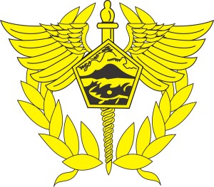 <span class="mw-page-title-main">Directorate General of Customs and Excise</span> Indonesian government customs agency