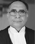 <span class="mw-page-title-main">S. H. Kapadia</span> 38th Chief Justice of India