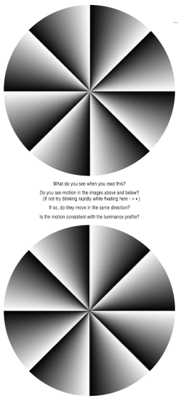 <span class="mw-page-title-main">Peripheral drift illusion</span> Type of optical illusion