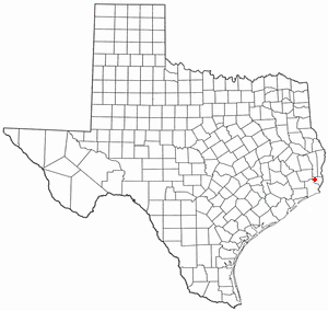 <span class="mw-page-title-main">Pine Forest, Texas</span> City in Texas, United States