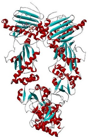 <span class="mw-page-title-main">Hsp90</span> Heat shock proteins with a molecular mass around 90kDa