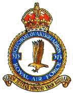 No. 313 Squadron RAF badge.gif