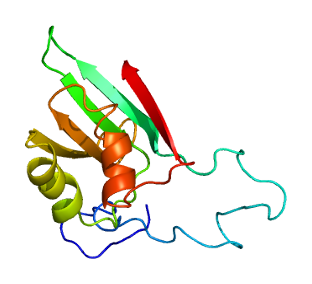 <span class="mw-page-title-main">EIF1B</span> Protein-coding gene in the species Homo sapiens