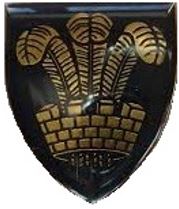 <span class="mw-page-title-main">Oudtshoorn Commando</span> Military unit