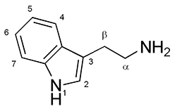 <span class="mw-page-title-main">Indolamines</span> Family of neurotransmitters