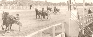 <span class="mw-page-title-main">Highland Fling (horse)</span> New Zealand Standardbred racehorse