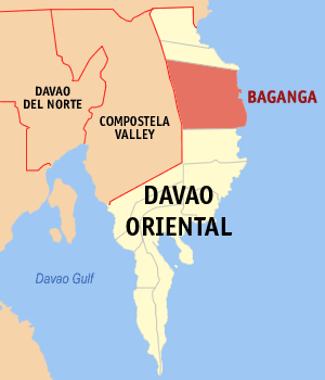 <span class="mw-page-title-main">Baganga</span> Municipality in Davao Oriental, Philippines