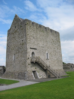 <span class="mw-page-title-main">Athenry Castle</span> 13th century tower house in County Galway, Ireland