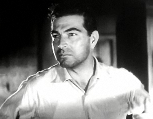 <span class="mw-page-title-main">Stephen McNally</span> American actor (1911–1994)