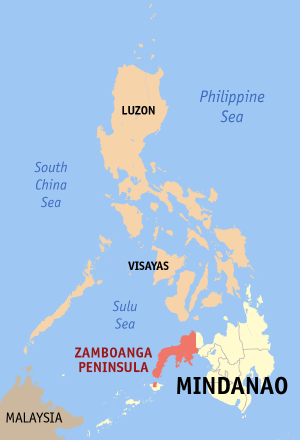 <span class="mw-page-title-main">2013 Philippine House of Representatives elections in the Zamboanga Peninsula</span>