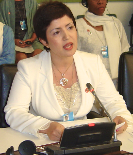 <span class="mw-page-title-main">Widad Akrawi</span> Kurdish health expert and activist