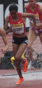 <span class="mw-page-title-main">Birtukan Fente</span> Ethiopian athlete