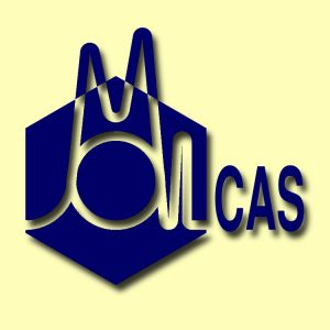 <span class="mw-page-title-main">MOLCAS</span> Computational chemistry software