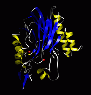 <span class="mw-page-title-main">Sphingomyelin phosphodiesterase</span> Class of enzymes