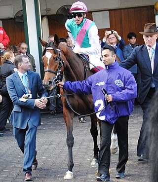 <span class="mw-page-title-main">2019 King George VI and Queen Elizabeth Stakes</span>