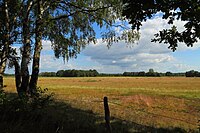 96. Platz: J.-H. Janßen mit Naturschutzgebiet Düsterdieker Niederung in Westerkappeln, Kreis Steinfurt