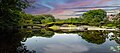 Pond in the East Garden