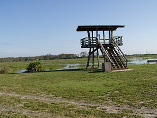 <span class="mw-page-title-main">Loxahatchee National Wildlife Refuge</span> United States National Wildlife Refuge in Florida