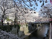 Exterior Wall of Ohashi Junction seen from the Meguro River