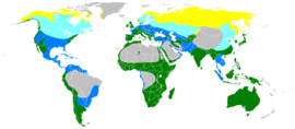 Distribución mundial      Nidificación migratoria      Nidificación residente      Invernación migratoria      Visitante de paso