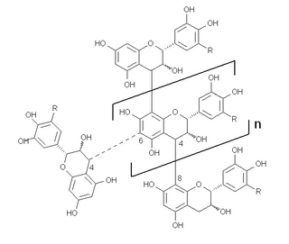 <span class="mw-page-title-main">Condensed tannin</span> Polymers formed by the condensation of flavans.